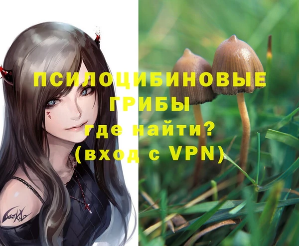сатива Балахна