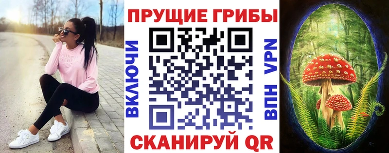 купить цена Верхняя Салда Псилоцибиновые грибы Cubensis