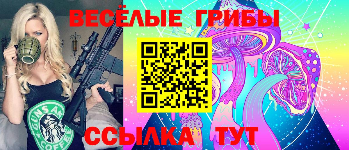 Псилоцибиновые грибы Psilocybine cubensis Верхняя Салда