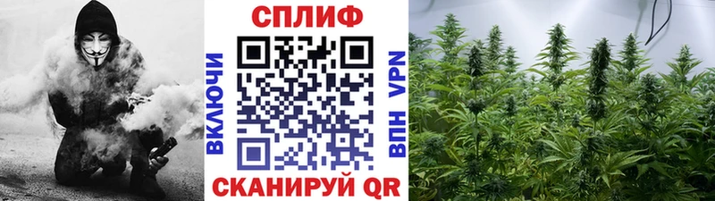 Бошки Шишки семена  сколько стоит  Верхняя Салда 